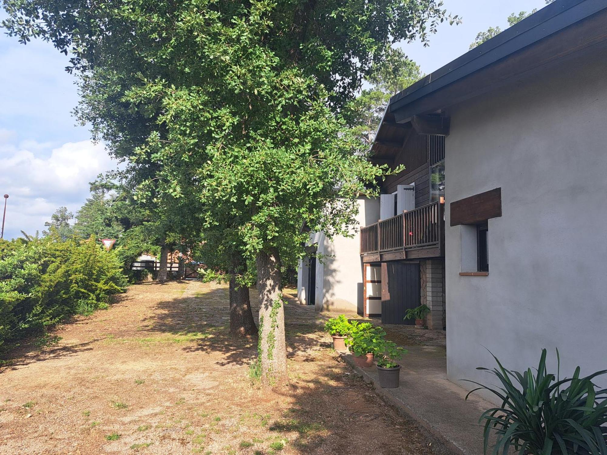 La Casa Del Pi Leilighet El Pi de Sant Just Eksteriør bilde